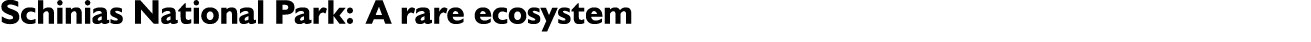 Schinias National Park: A rare ecosystem
